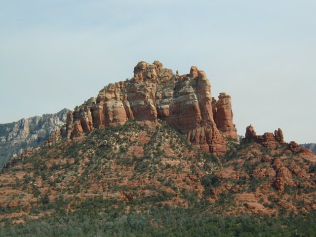 Photograph